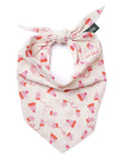 Mittens Winter Dog Bandana