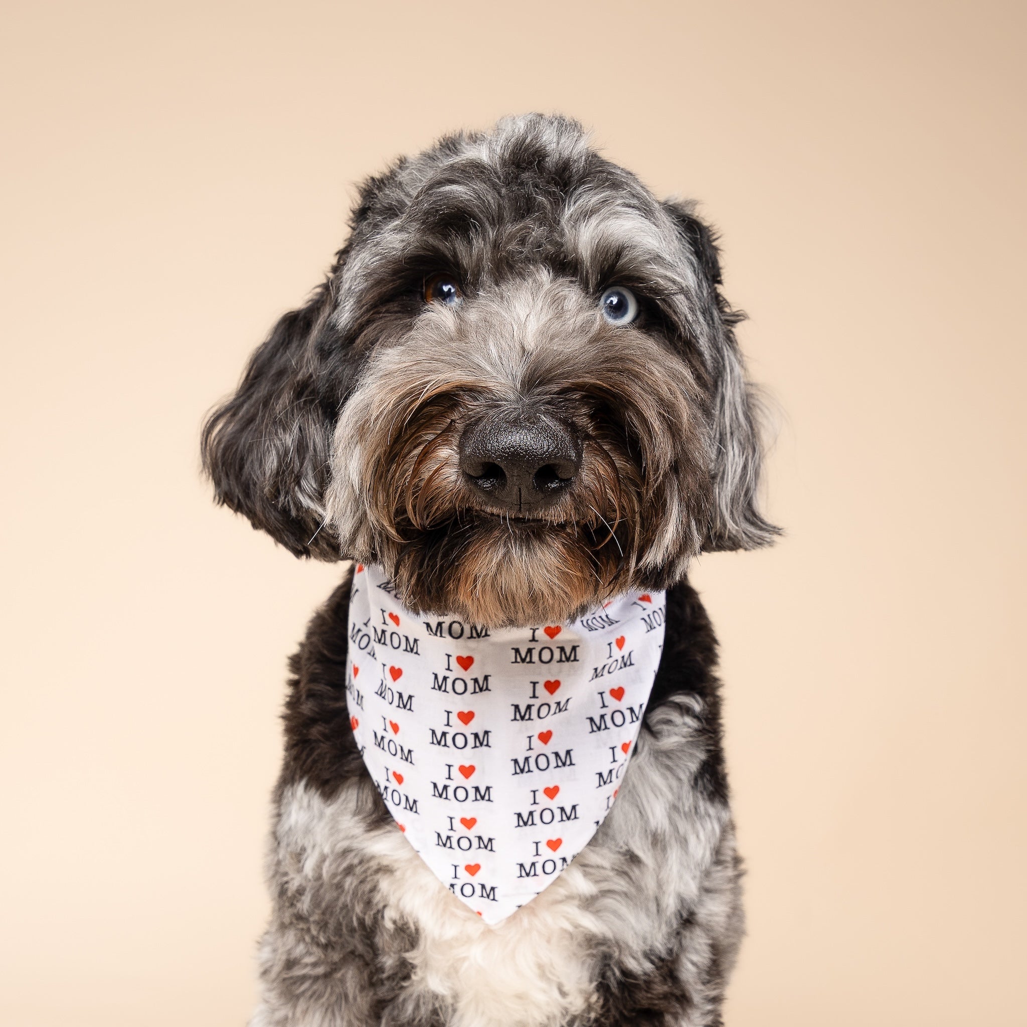 Moms #1 Dog Bandana