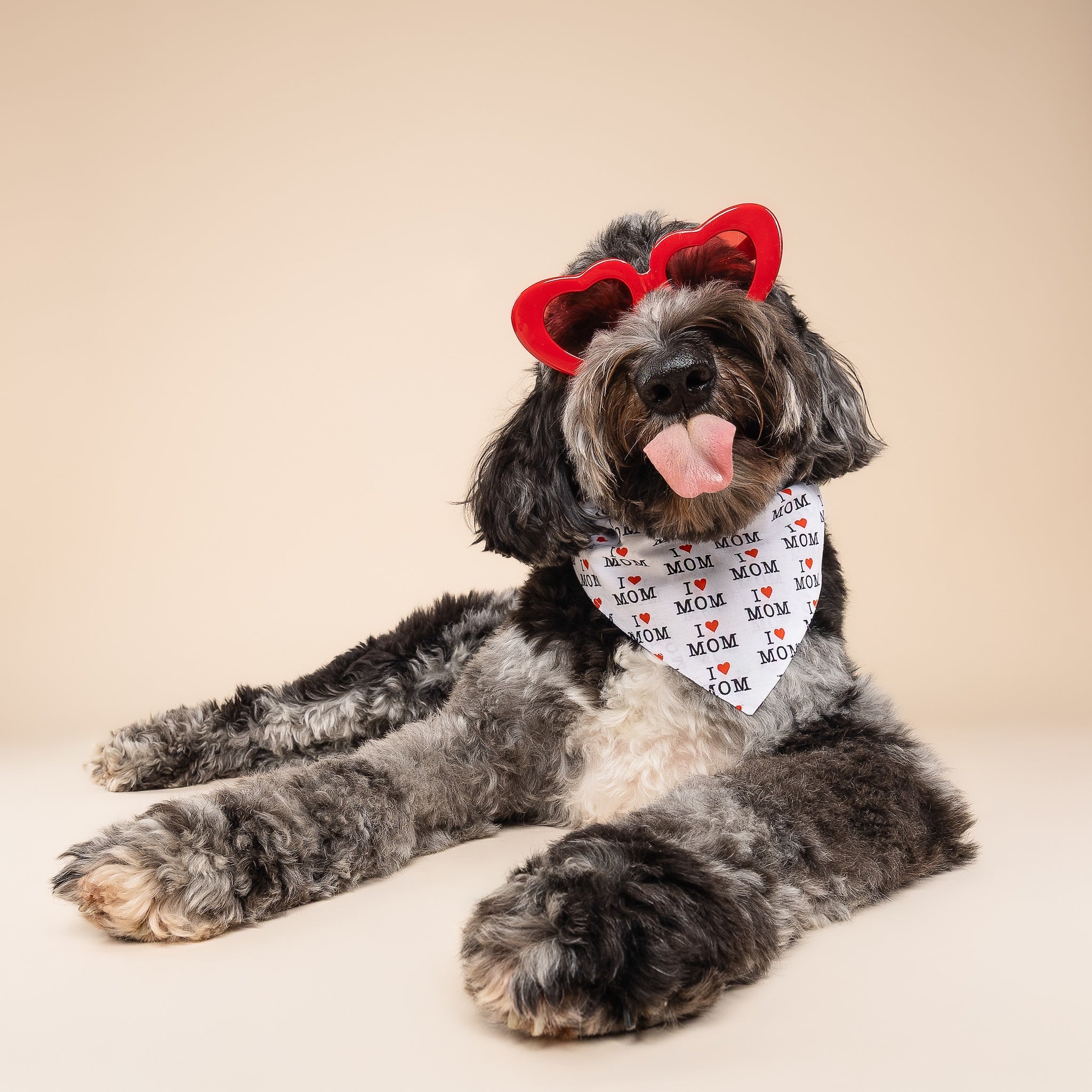 Moms #1 Dog Bandana