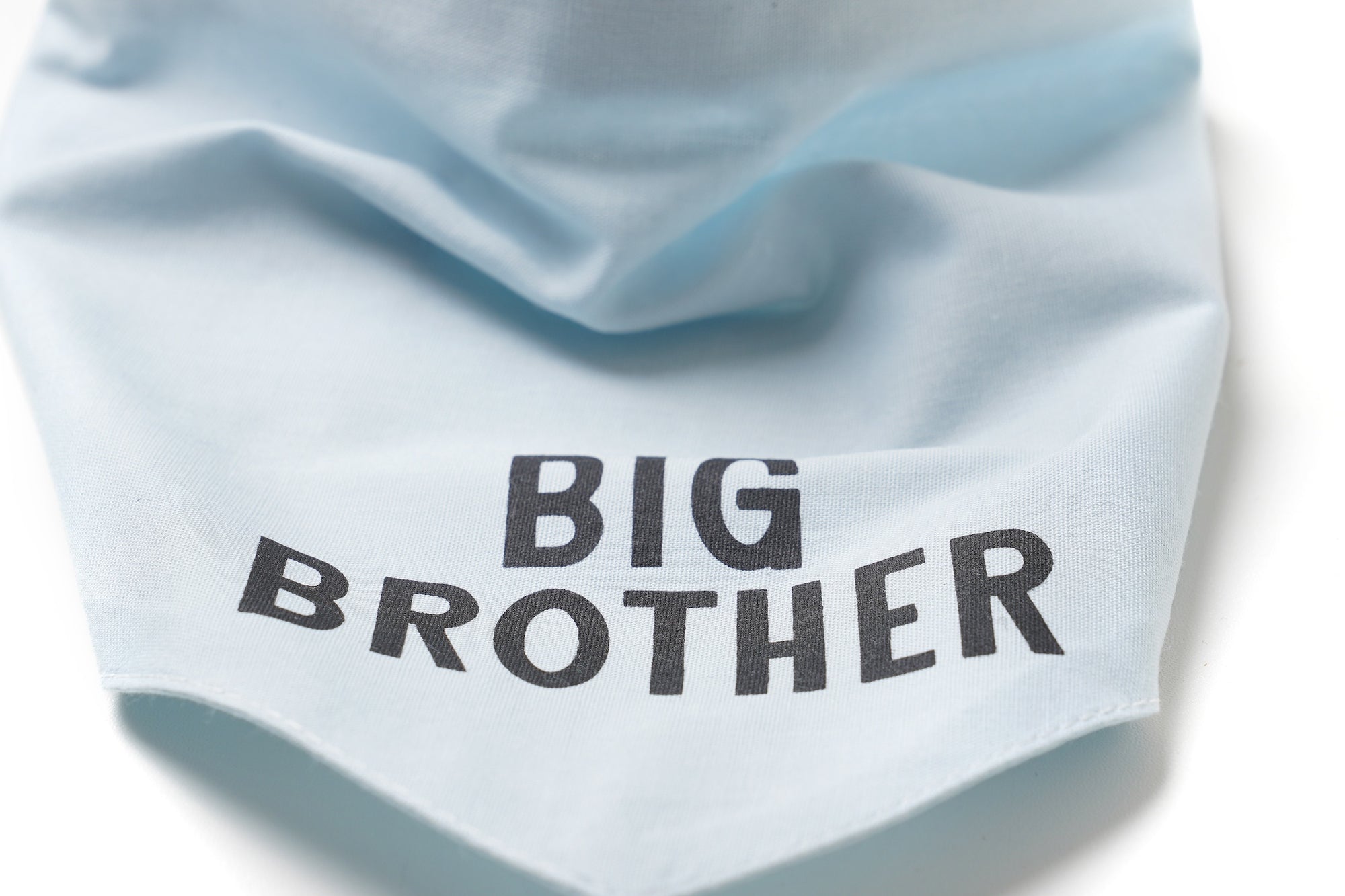 My Big Brother Dog Bandana