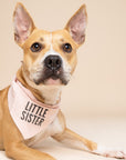 My Little Sister Dog Bandana