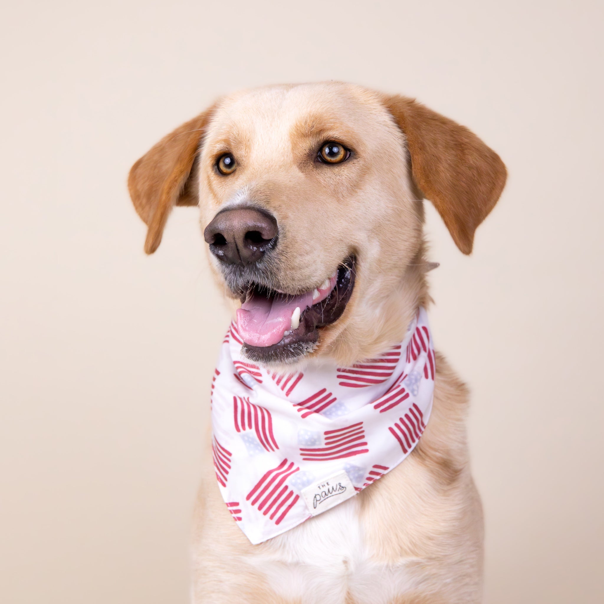 National Flag dog bandana