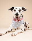 National Dog Bandana