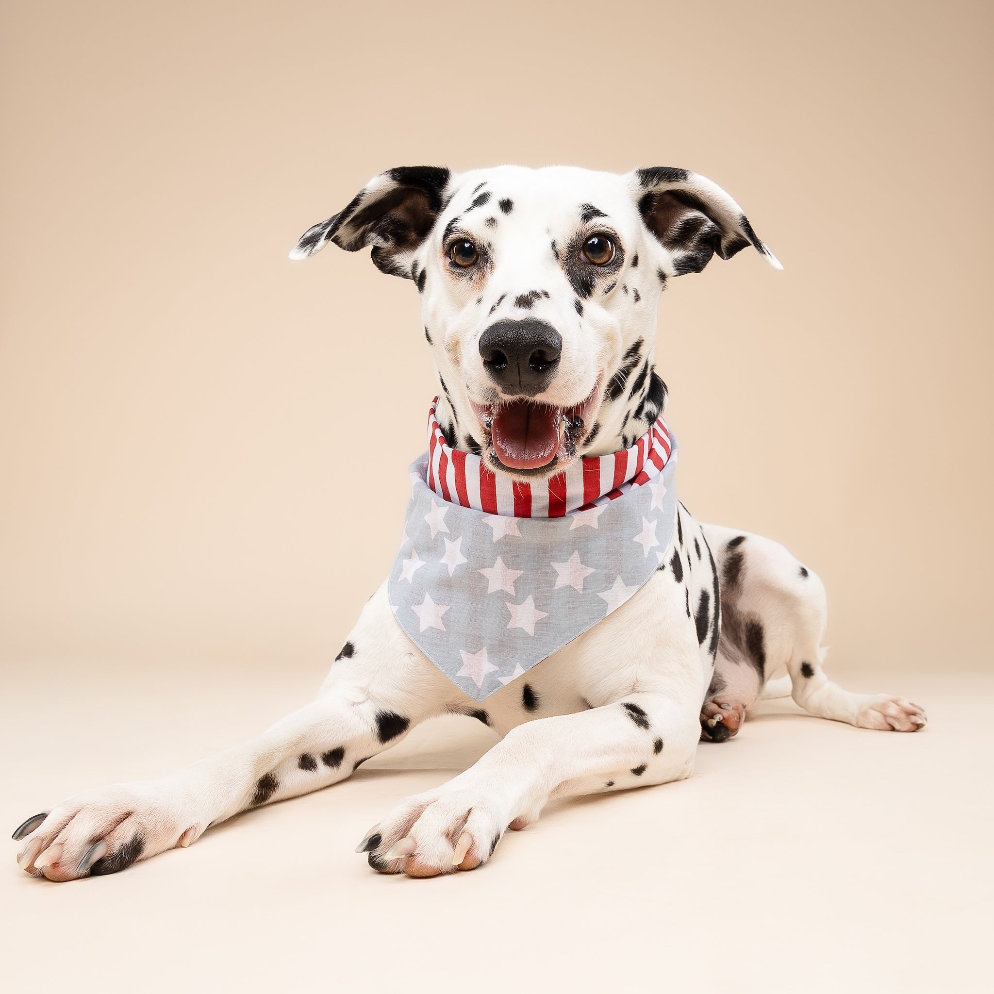 National Dog Bandana