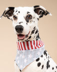 National Dog Bandana