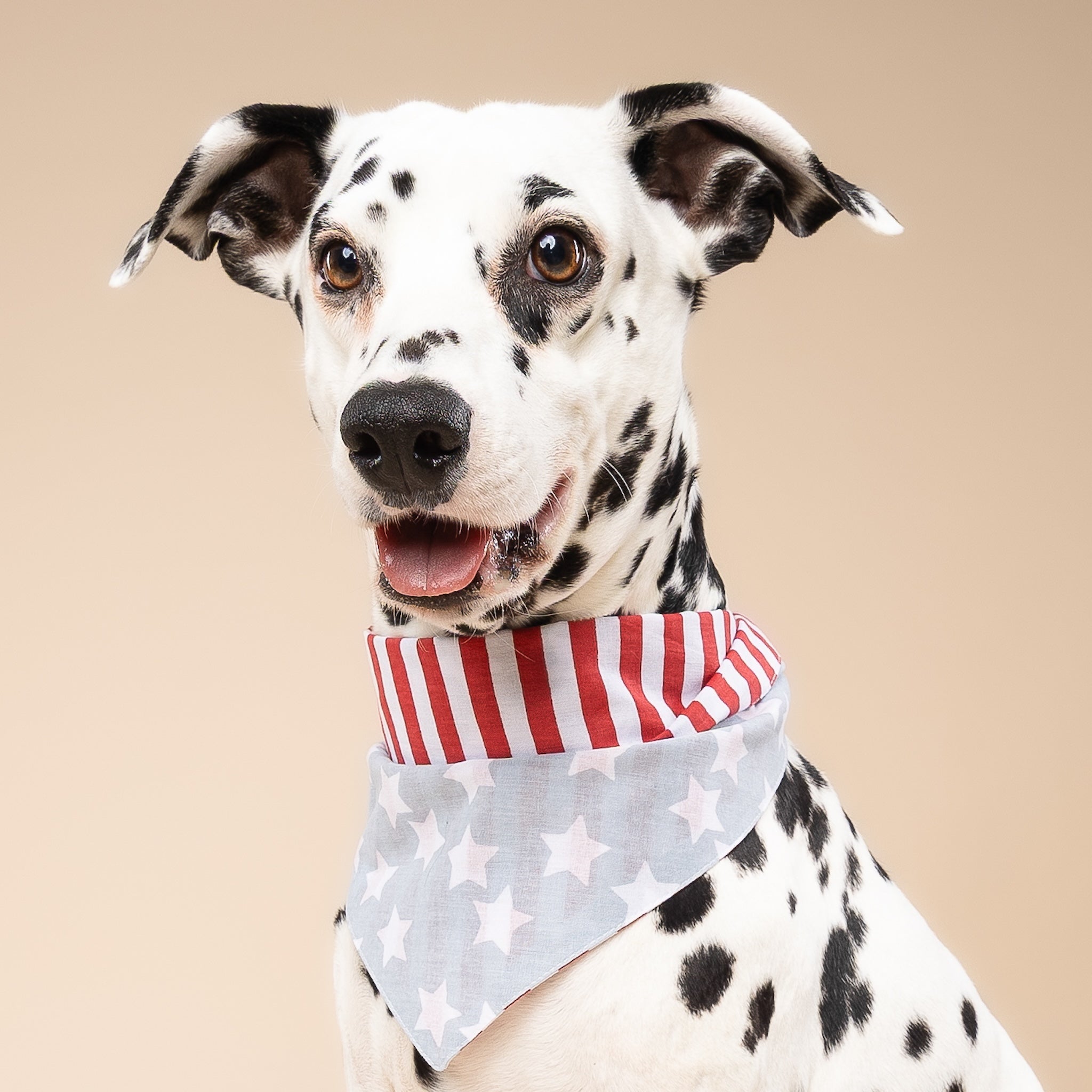 National Dog Bandana