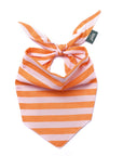 Nusa Dog Bandana