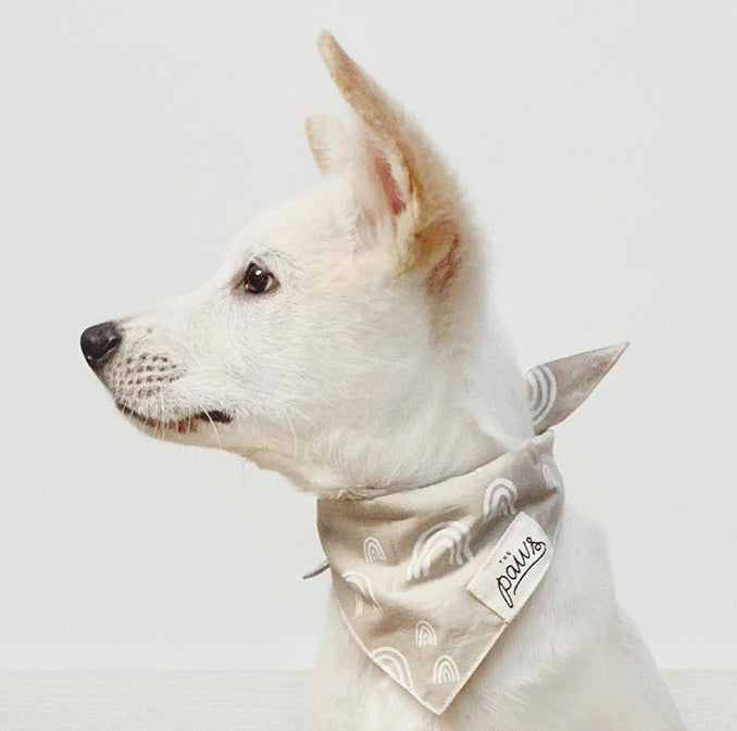 Ocracoke Dog Bandana