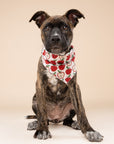 Orchard Dog Bandana