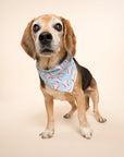 Home Run Dog Bandana