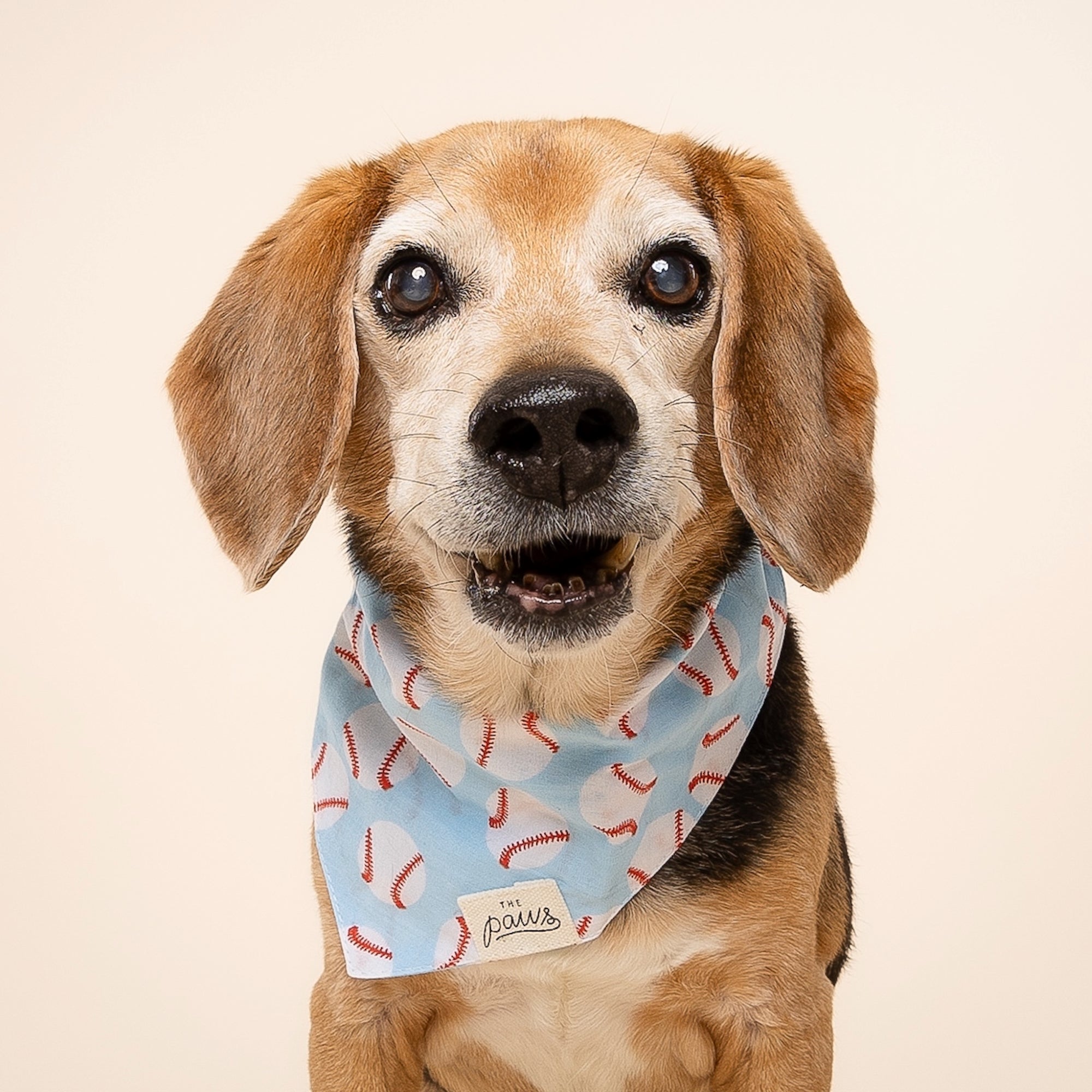 Home Run Dog Bandana