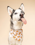 Pie Dog Bandana