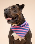 Pacific Stripe Dog Bandana
