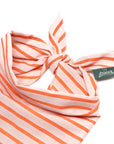 Palm Beach Stripe Dog Bandana