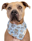 Parkway Dog Bandana from The Paws