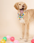 Party Animal Dog Bandana