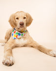 Party Animal Dog Bandana