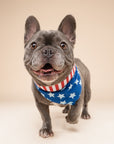 Patriotic Dog Bandana