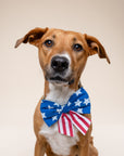 Sailor Bow - Patriotic