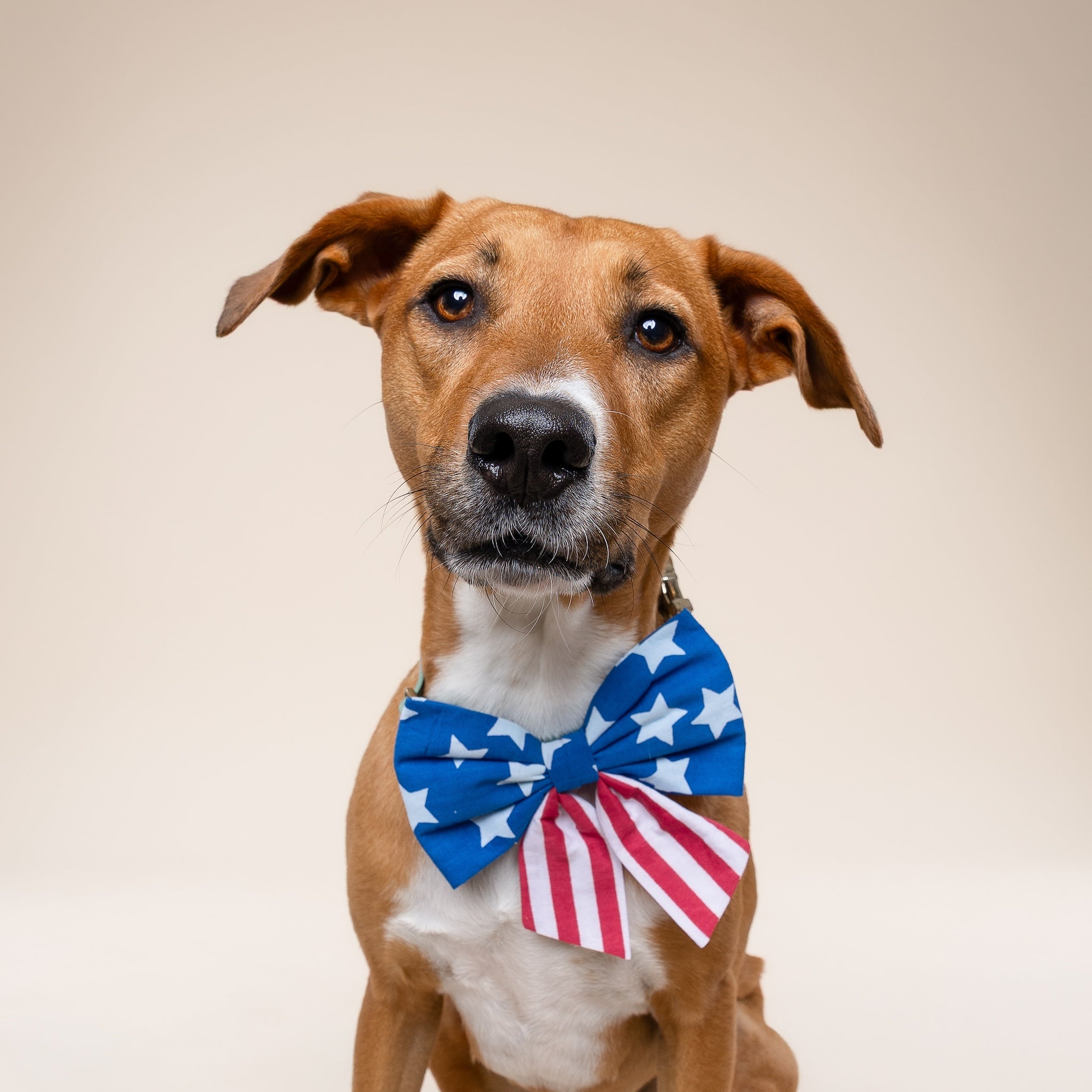 Sailor Bow - Patriotic