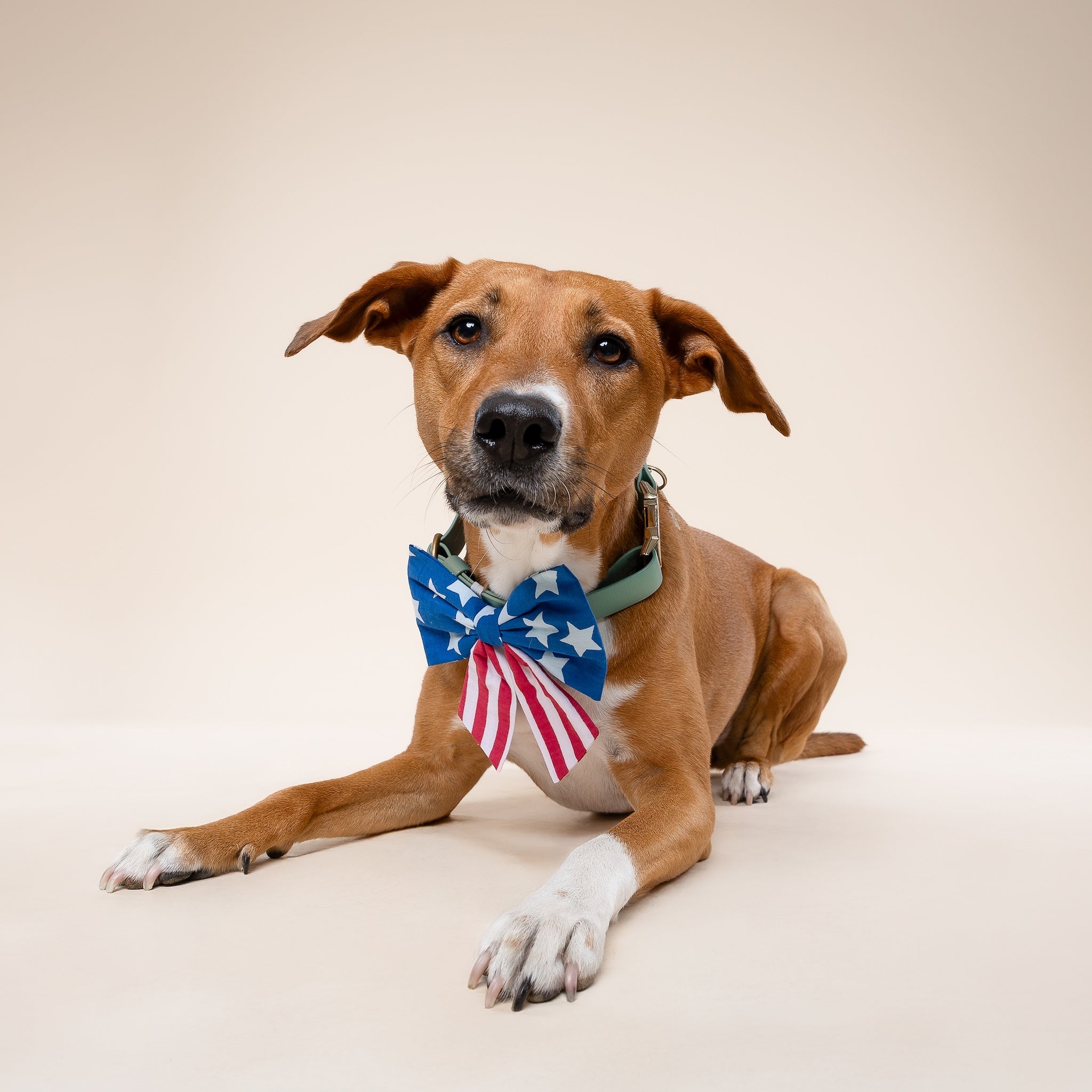 Sailor Bow - Patriotic