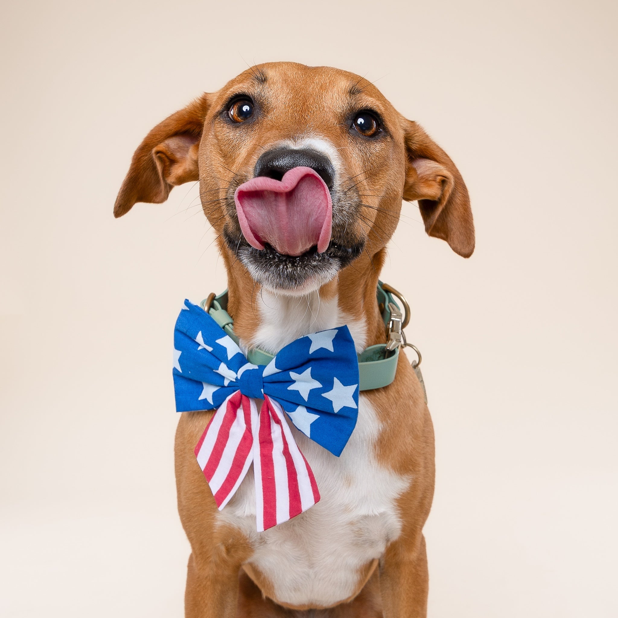 Sailor Bow - Patriotic