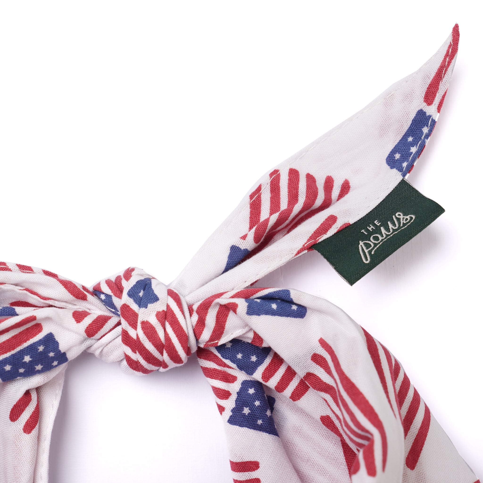 Patriotic Flag Dog Bandana – The Paws