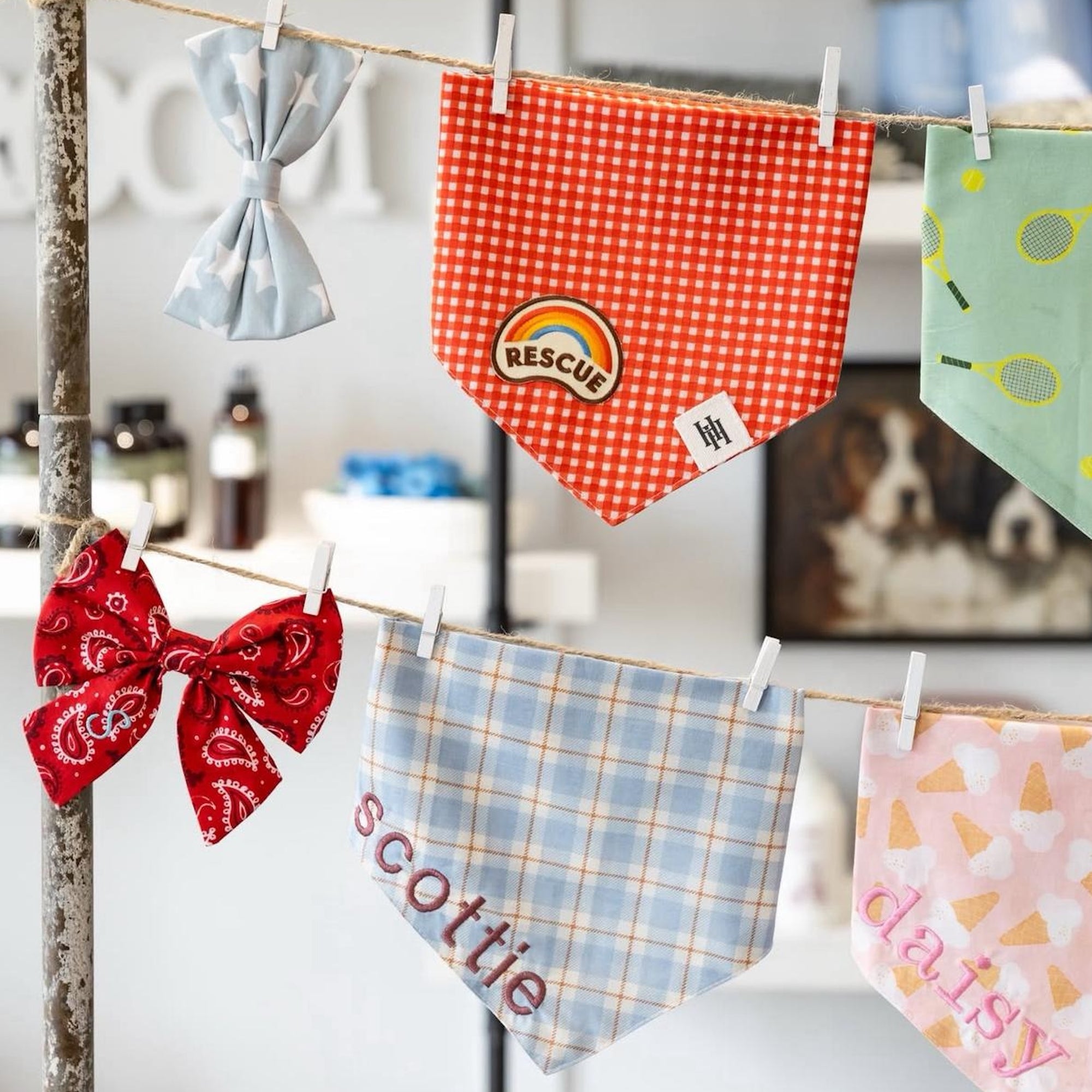 Pet Products on display - made by The Paws