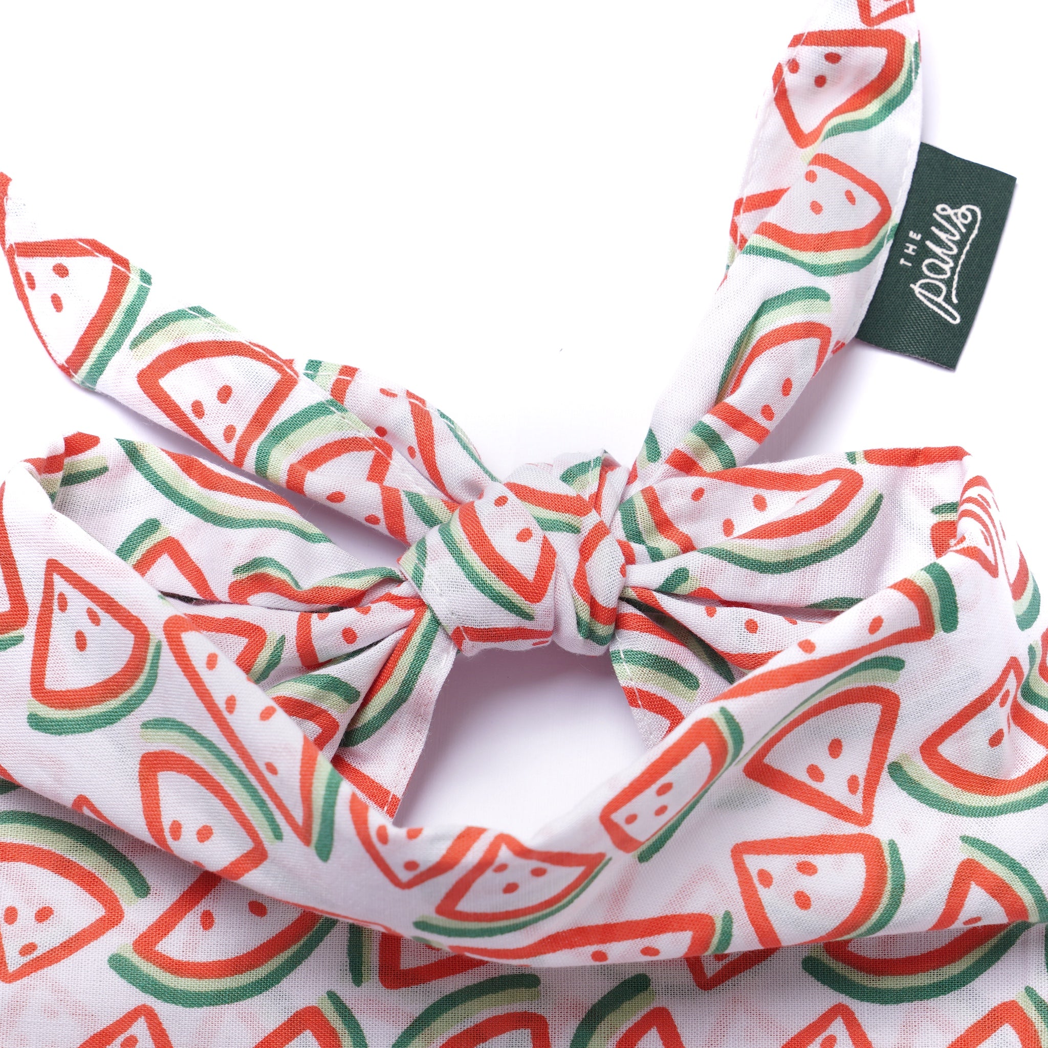 Picnic Watermelon Dog Bandana