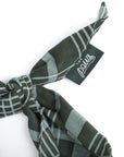 Pine Checkered Dog Bandana