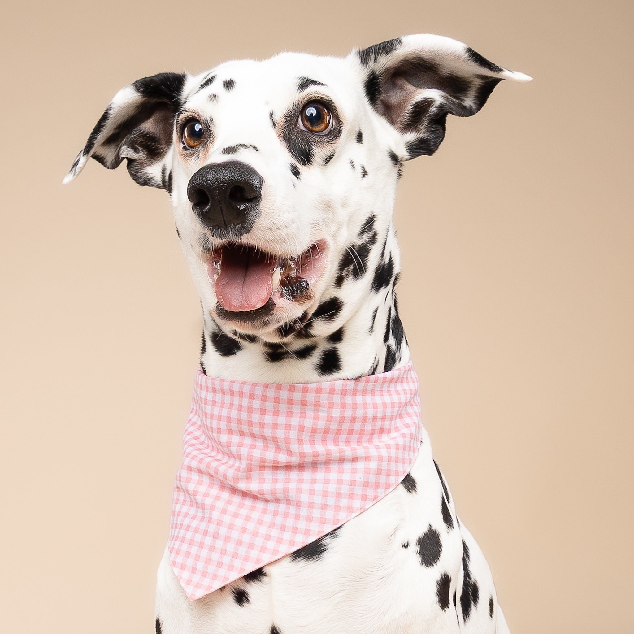 Pink Gingham Dog Bandana