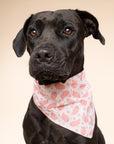 Pinkaboo Halloween Dog Bandana