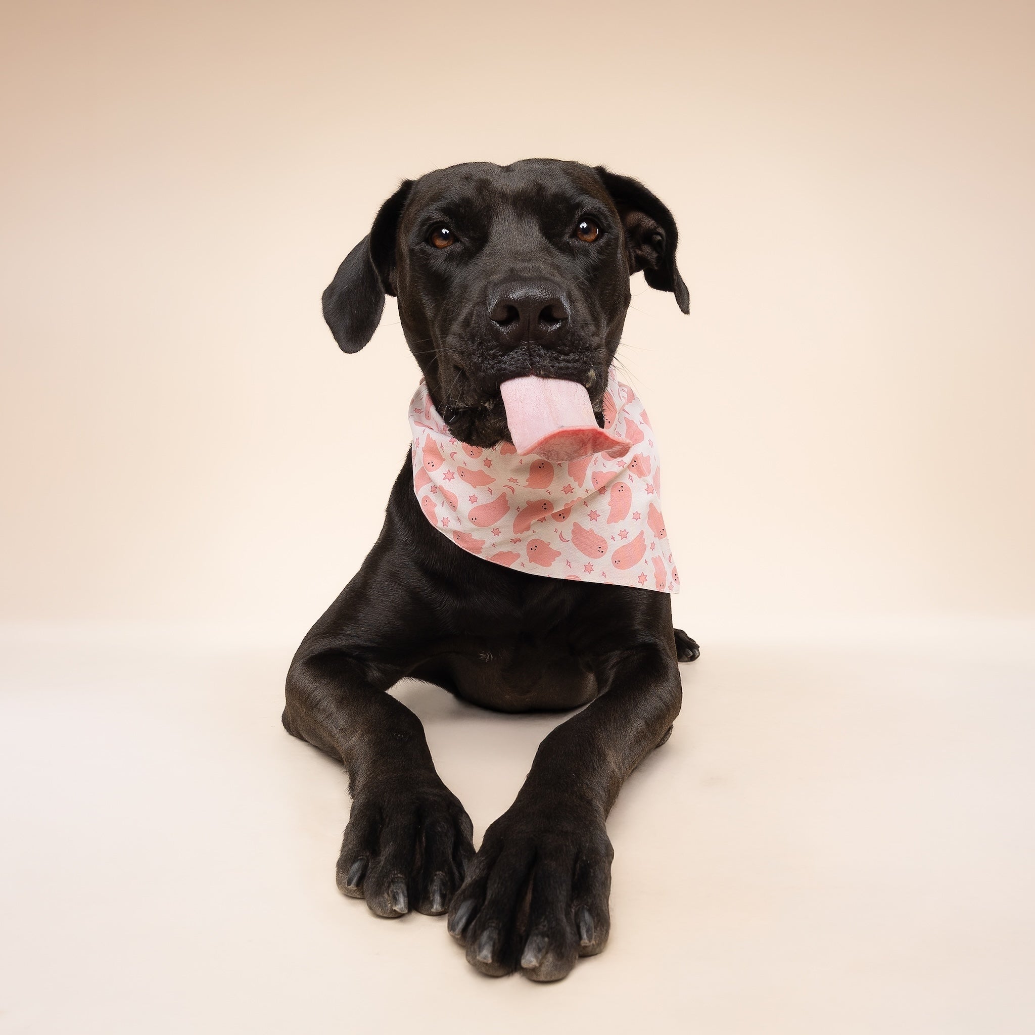 Pinkaboo Halloween Dog Bandana