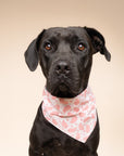 Pinkaboo Halloween Dog Bandana