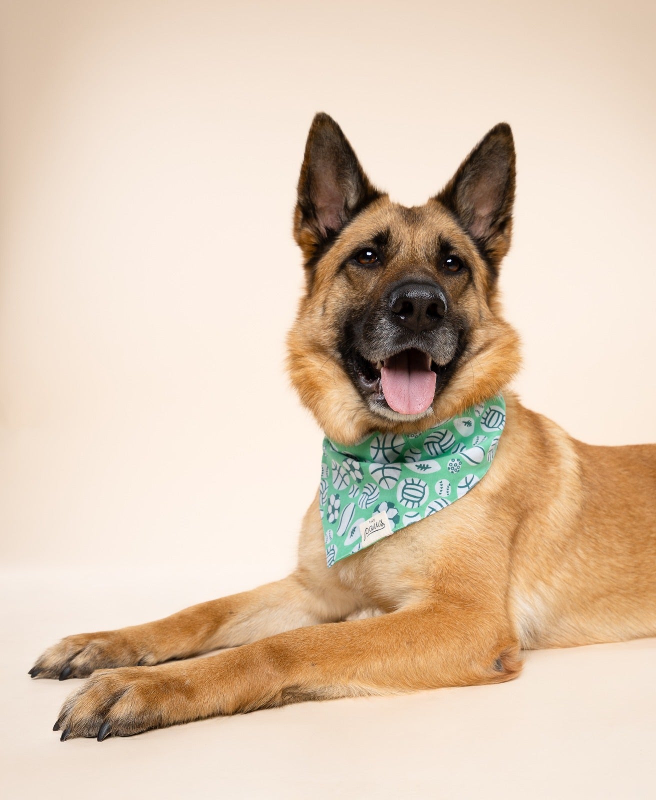 Play Ball Dog Bandana