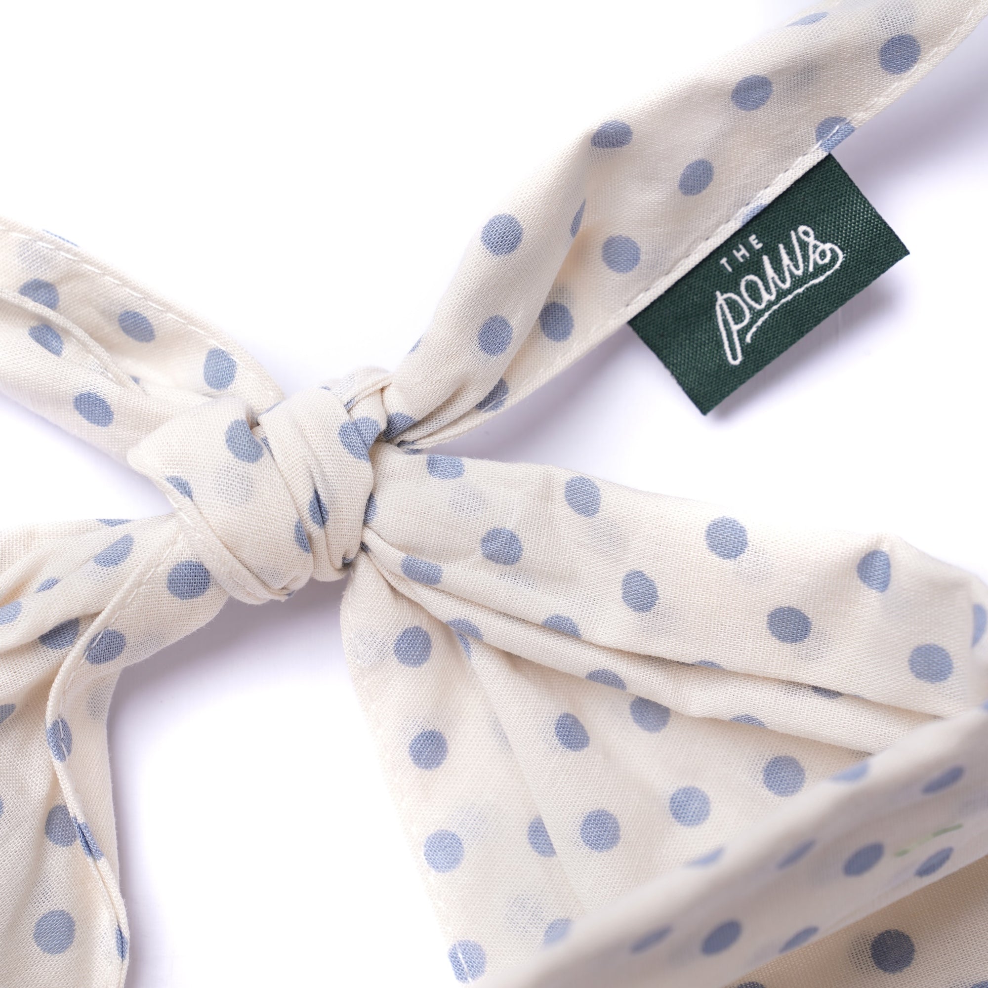 Polka Dot Blue Dog Bandana