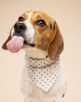 Polka Dot Blue Dog Bandana