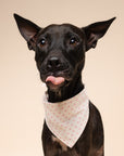Polka Dot Pink Dog Bandana