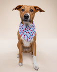 Pop Dog Bandana