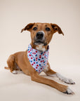 Pop Dog Bandana