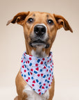 Pop Dog Bandana