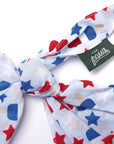 Pop Dog Bandana