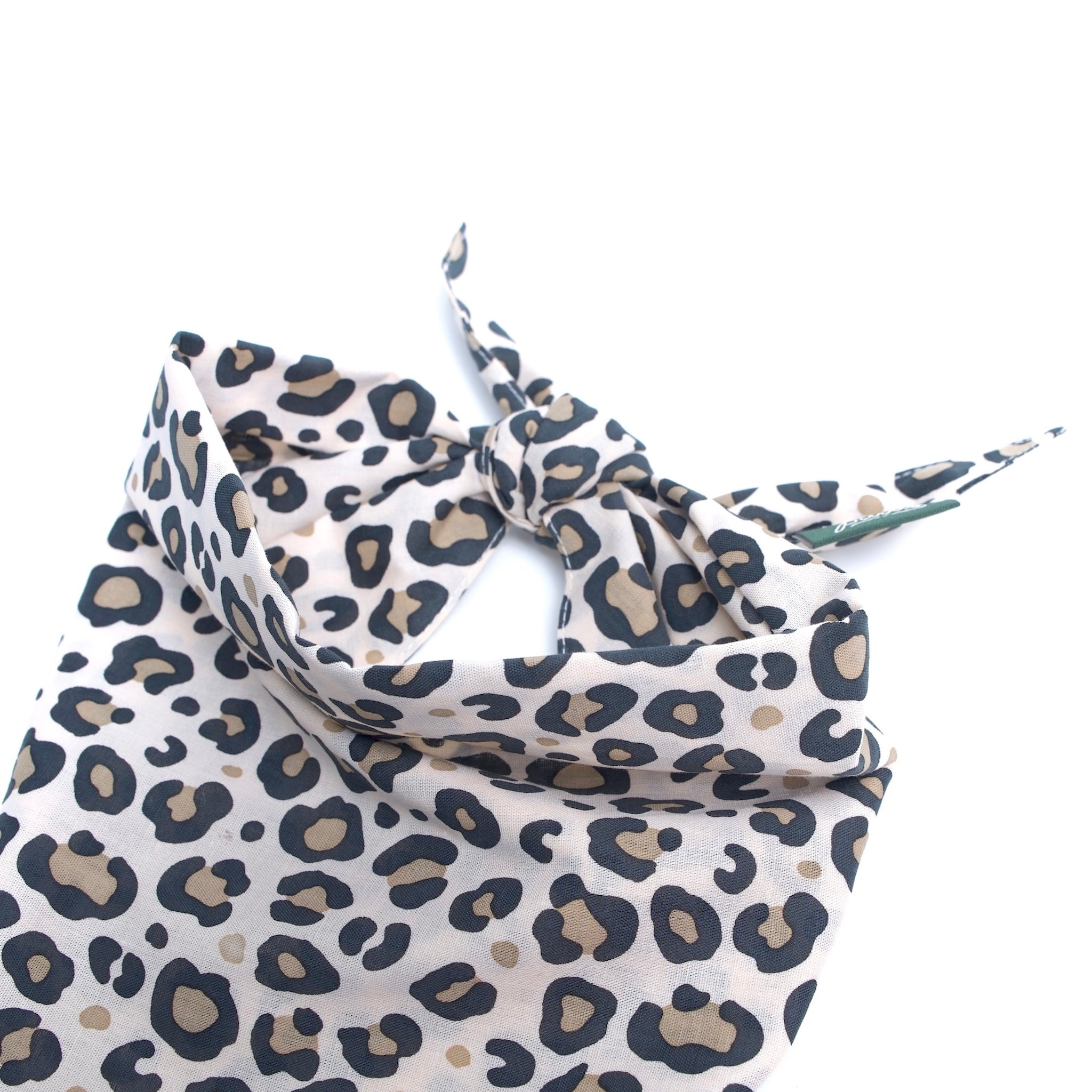 Pounce Dog Bandana
