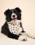Pride Hearts Dog Bandana