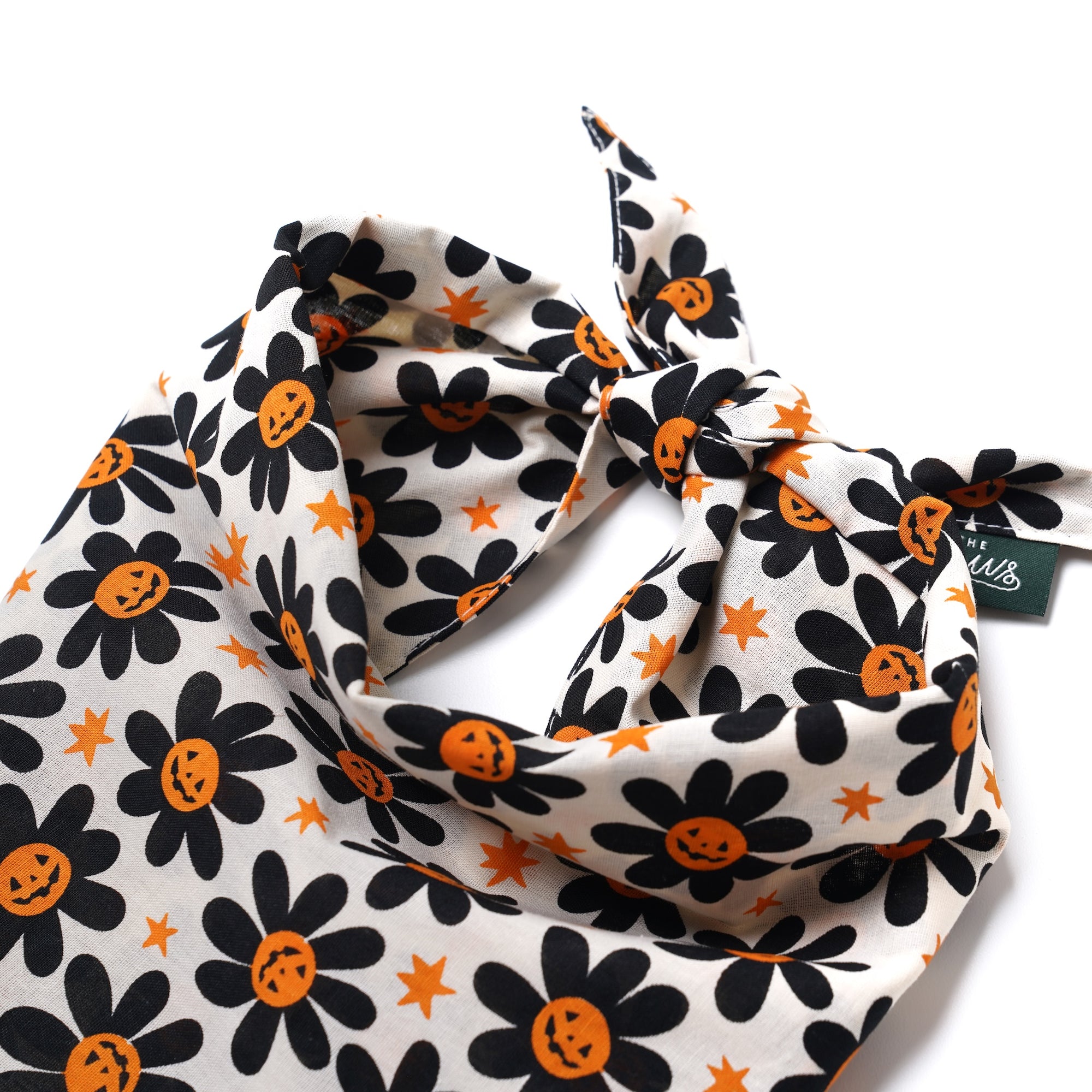 Pumpkin Petals Dog Bandana