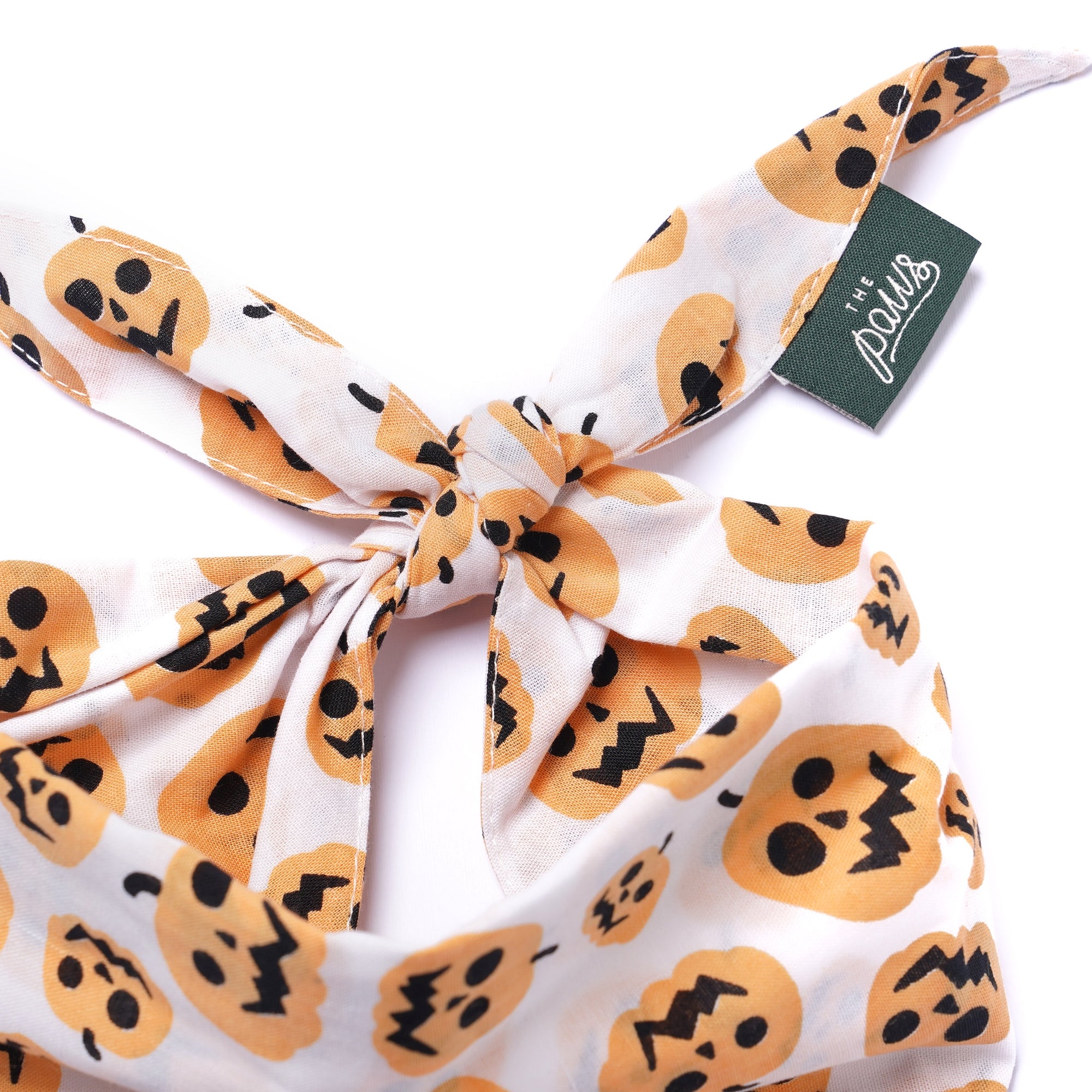 Pumpkin Dog Bandana