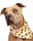 Pumpkin Dog Bandana