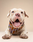 Pumpkin Patch Dog Bandana