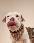 Pumpkin Patch Dog Bandana