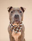 Pumpkin Petals Dog Bandana